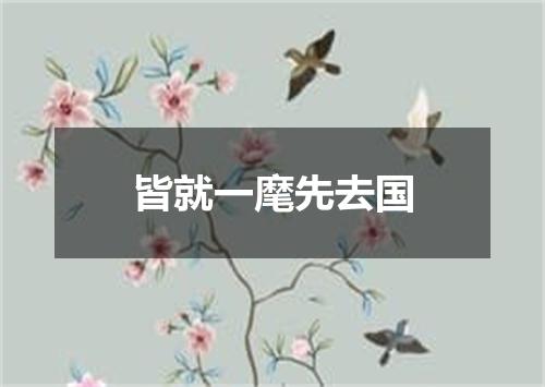 皆就一麾先去国