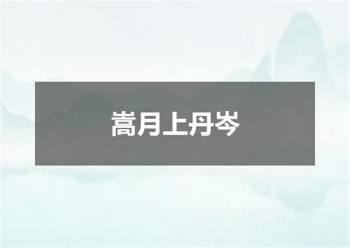 嵩月上丹岑