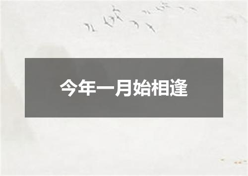 今年一月始相逢