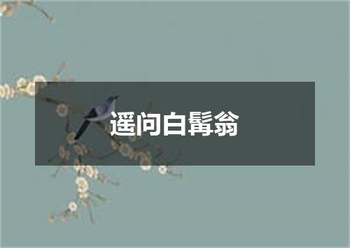 遥问白髯翁