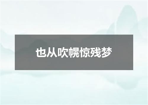 也从吹幌惊残梦