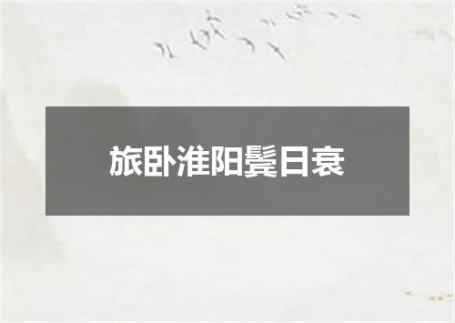 旅卧淮阳鬓日衰