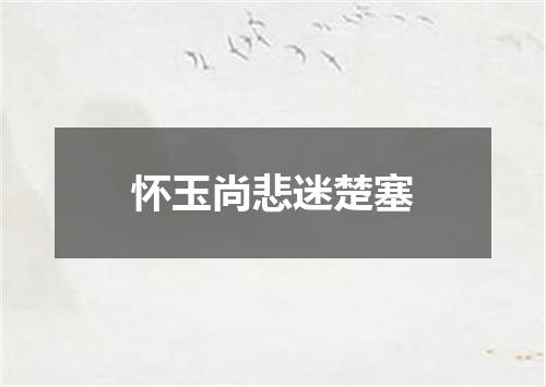 怀玉尚悲迷楚塞