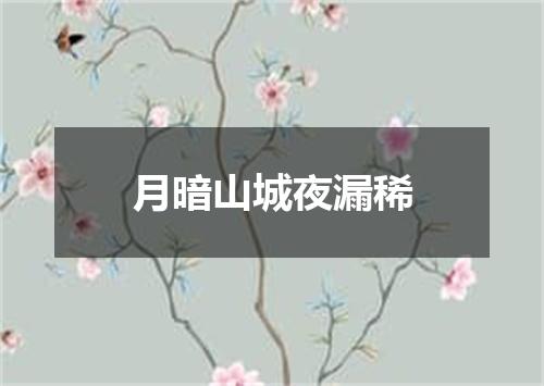 月暗山城夜漏稀