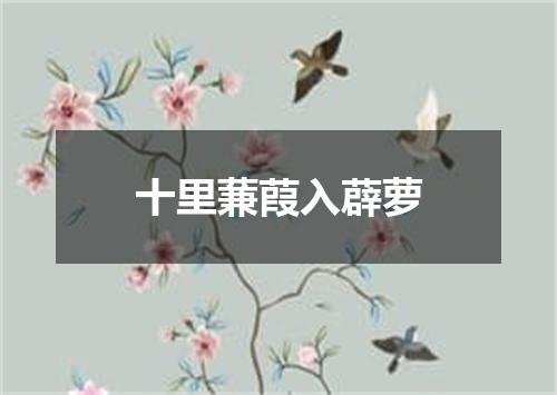 十里蒹葭入薜萝