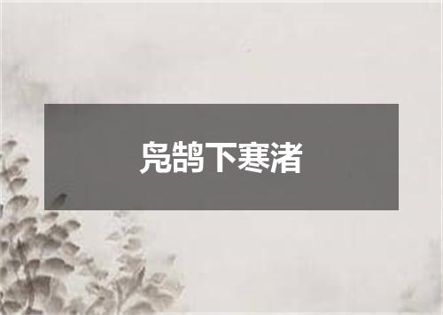 凫鹄下寒渚