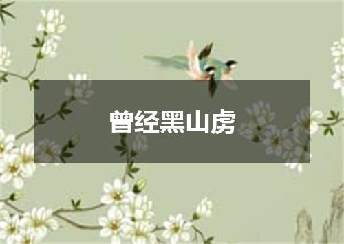 曾经黑山虏