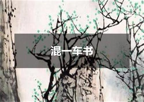 混一车书