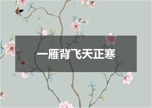 一雁背飞天正寒