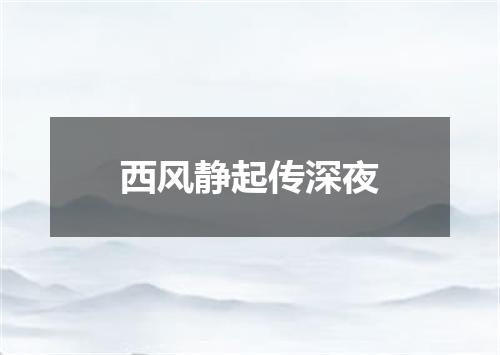 西风静起传深夜