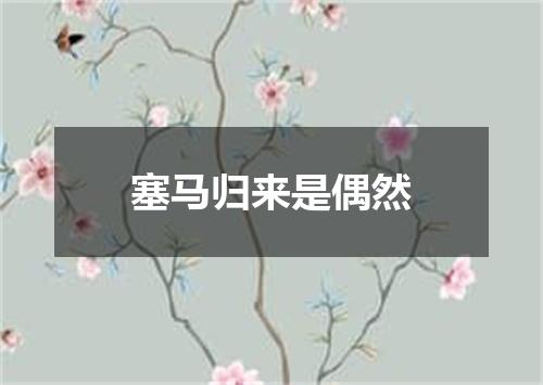 塞马归来是偶然