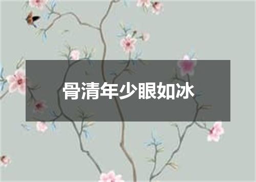 骨清年少眼如冰