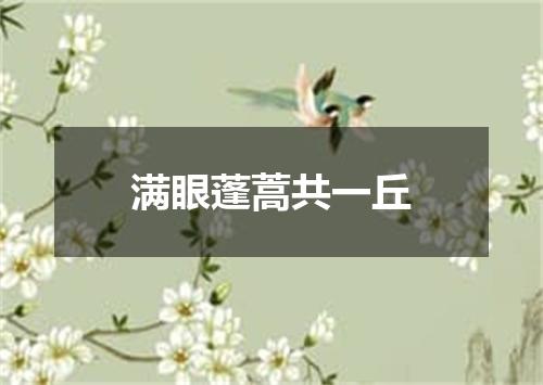 满眼蓬蒿共一丘