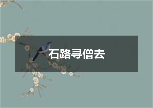 石路寻僧去