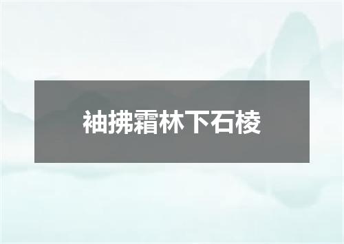 袖拂霜林下石棱