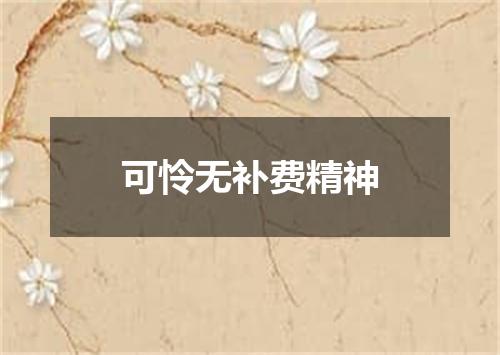 可怜无补费精神