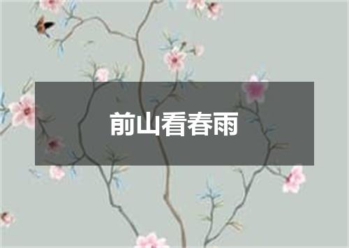 前山看春雨