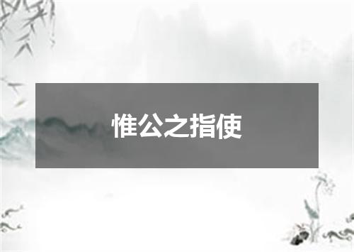 惟公之指使