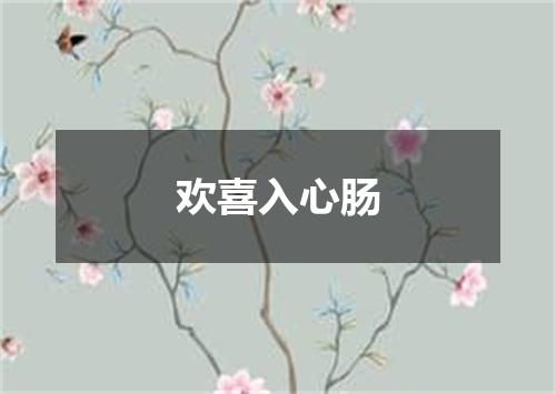 欢喜入心肠