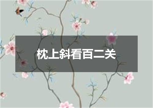 枕上斜看百二关