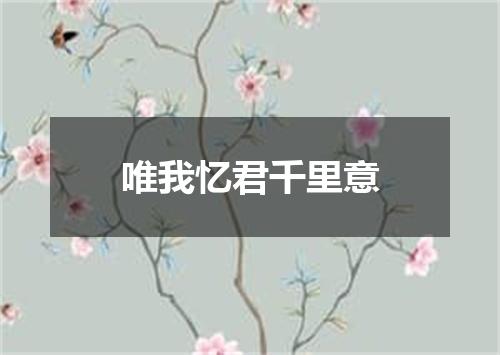 唯我忆君千里意