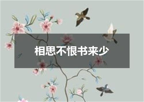 相思不恨书来少