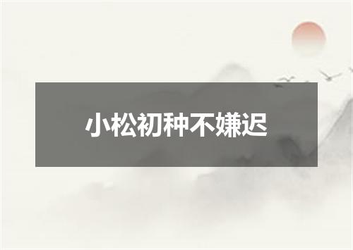 小松初种不嫌迟