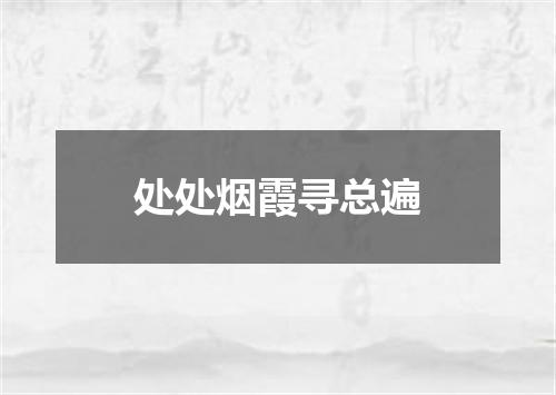 处处烟霞寻总遍