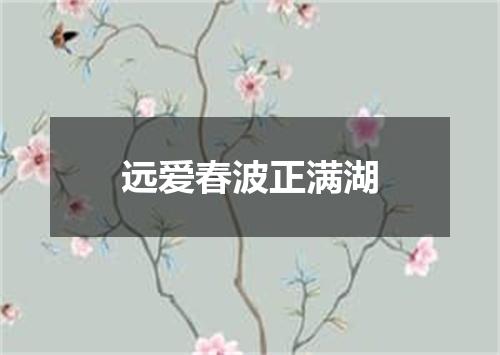 远爱春波正满湖