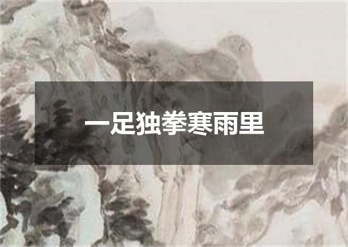 一足独拳寒雨里