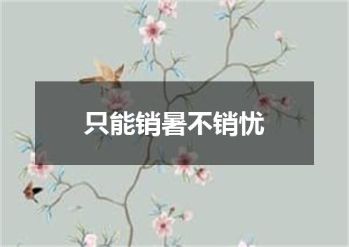 只能销暑不销忧