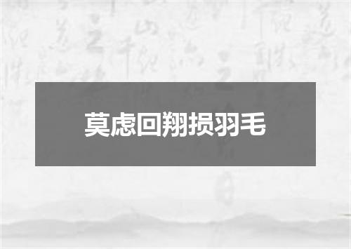莫虑回翔损羽毛