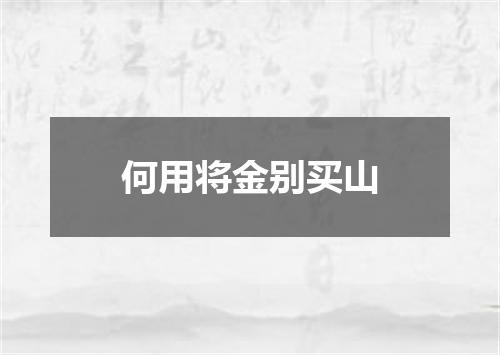 何用将金别买山