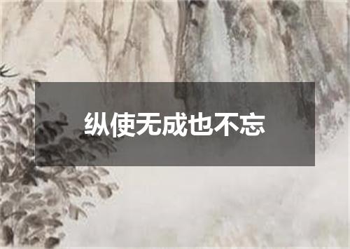 纵使无成也不忘