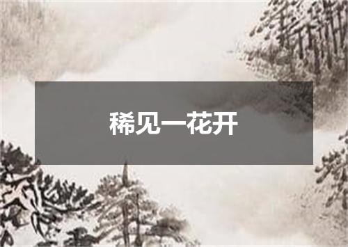 稀见一花开