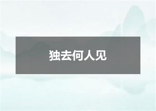 独去何人见