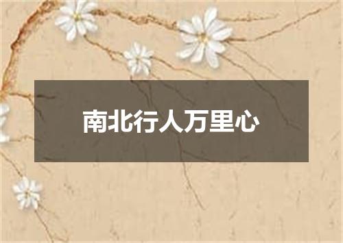 南北行人万里心