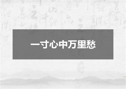 一寸心中万里愁