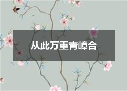 从此万重青嶂合