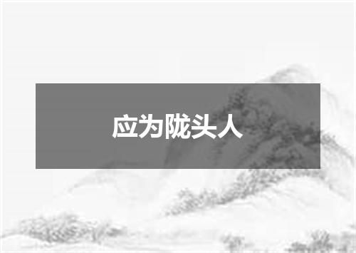 应为陇头人