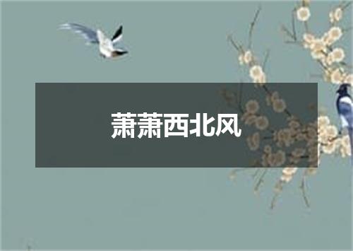 萧萧西北风