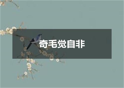 奇毛觉自非