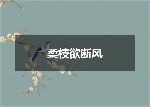 柔枝欲断风