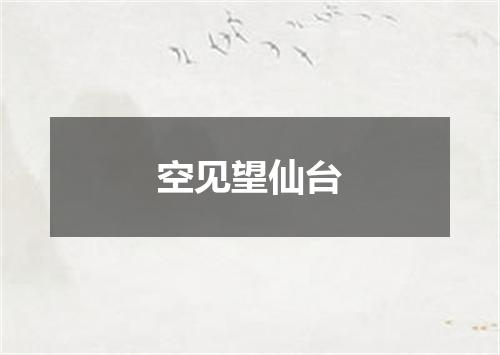 空见望仙台