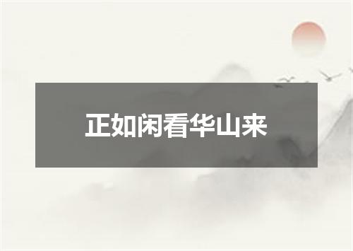 正如闲看华山来