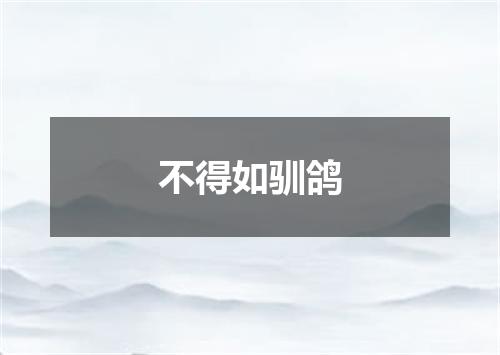 不得如驯鸽