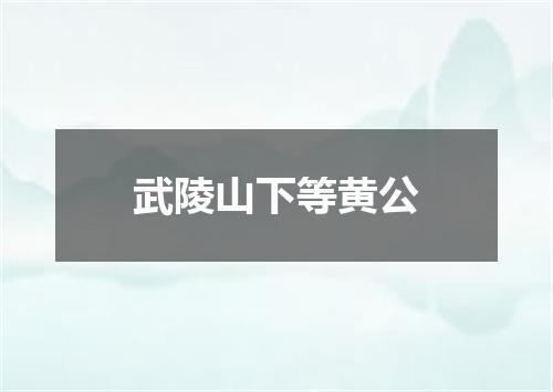 武陵山下等黄公