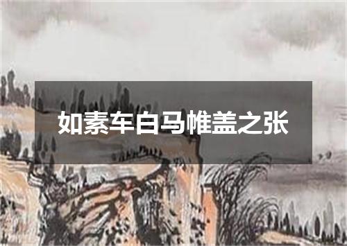 如素车白马帷盖之张