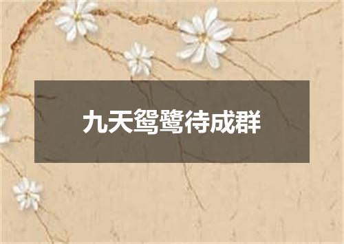 九天鸳鹭待成群