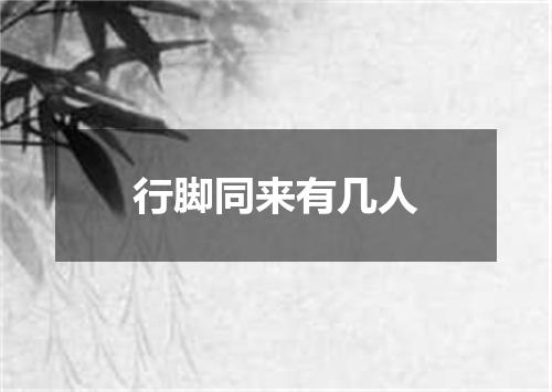行脚同来有几人